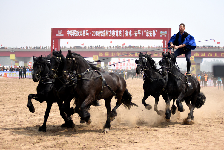 中华民族大赛马·2018传统耐力赛首站在安平开赛