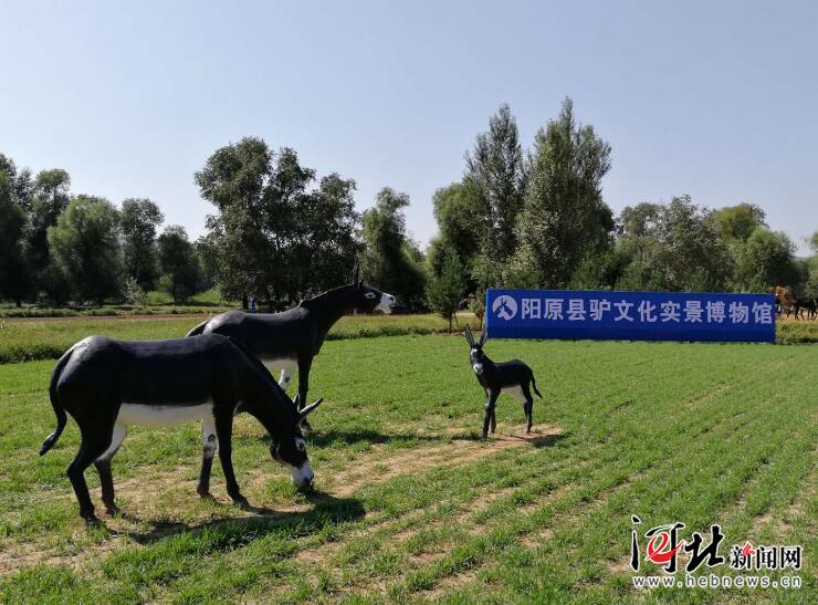 阳原“驴文化”抢眼张家口第二届旅发大会