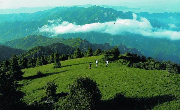 6月15日前，石家庄这34处自然保护地、风景名胜、森林公园封山防火