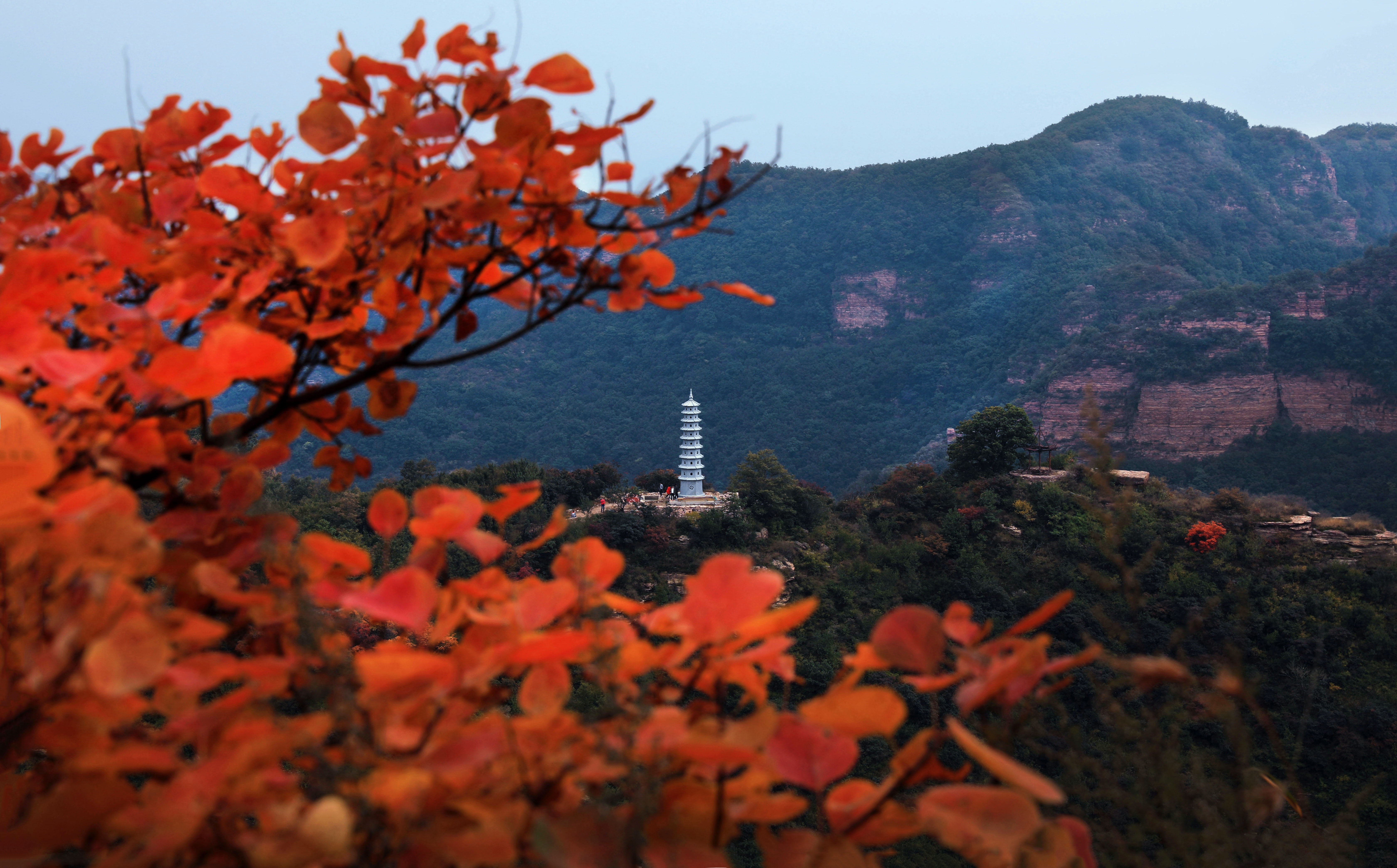 邢台37家景区将建交通安全劝导站