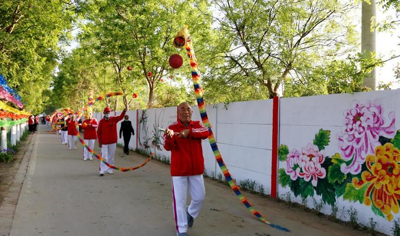 河北肃宁西泊庄村：牡丹花开迎客来